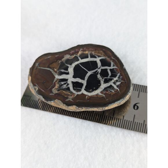 Dragon Stone Septarian slice fossil 41 x 55mm 35.5 grams Thunder egg NWOT - Picture 6 of 11